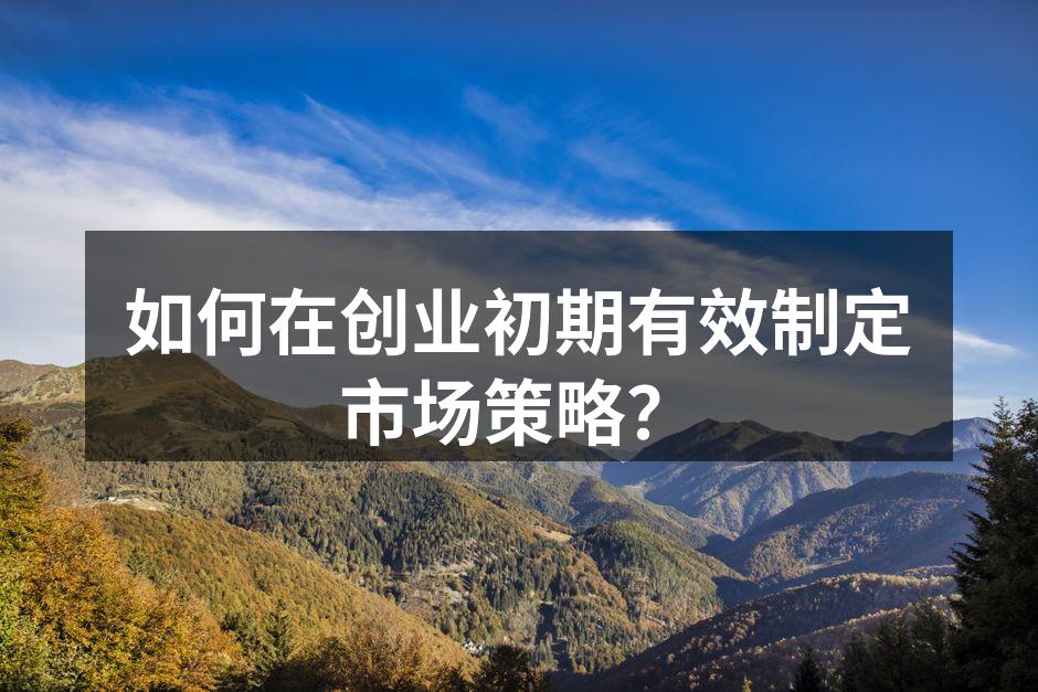 如何在创业初期有效制定市场策略？